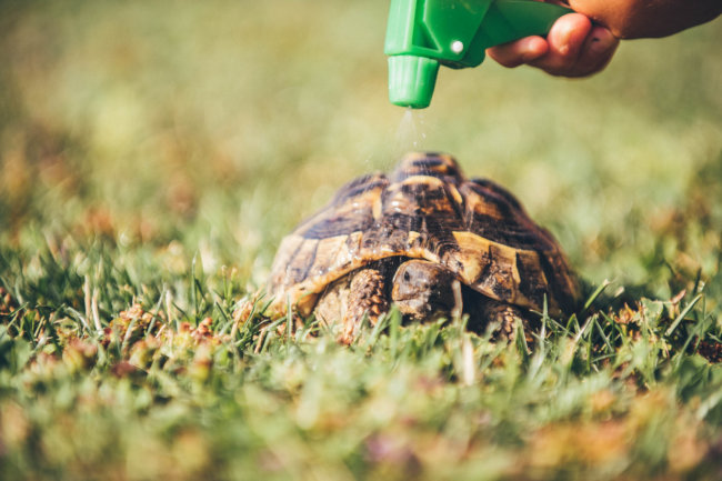 Lifestylefotografie Kinderfotografie Karin Lohberger Photography