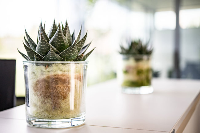 eSYS Architekturfotografie Karin Lohberger Photography