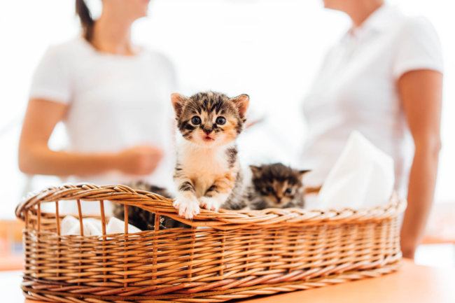 Unternehmensfotografie Vöcklabruck Karin Lohberger Photography