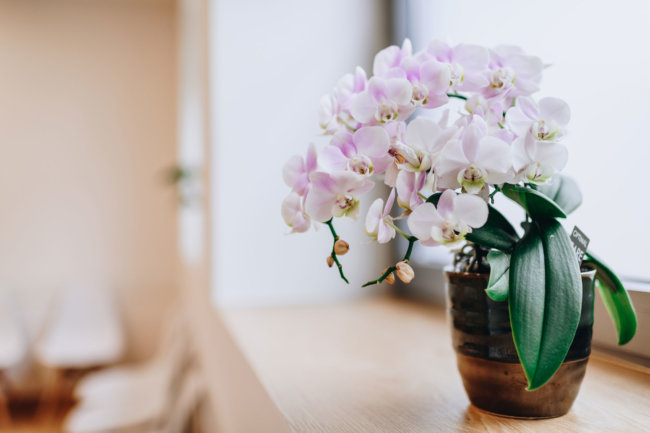 Fotograf Vöcklabruck Karin Lohberger Photography