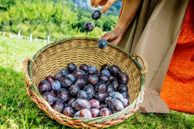 Werbefotogafie Karin Lohberger Photography