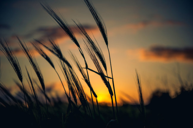 Hotelfotografie Karin Lohberger Photography