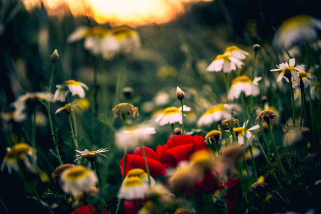 Hotelfotografie Karin Lohberger Photography