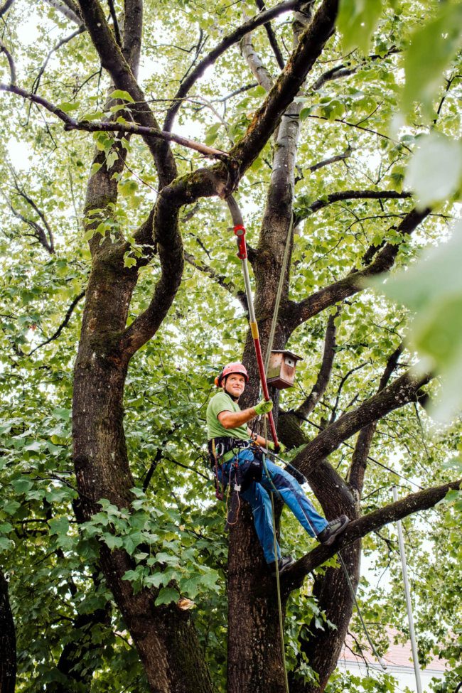 Unternehmensfotografie Vöcklabruck Karin Lohberger Photography